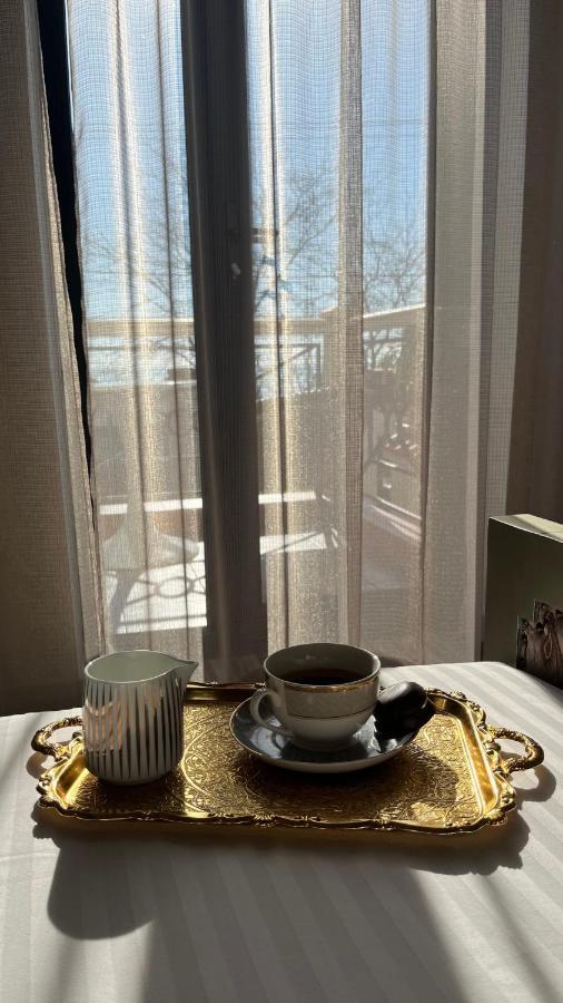 Villa-Sofia Mini-Hotel Odessa Dış mekan fotoğraf