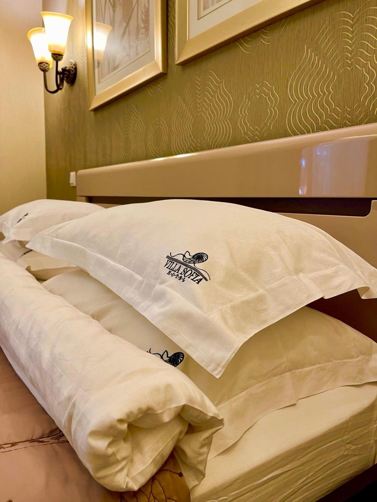 Villa-Sofia Mini-Hotel Odessa Dış mekan fotoğraf